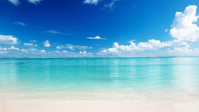 [Image: beach-window-background.jpg]